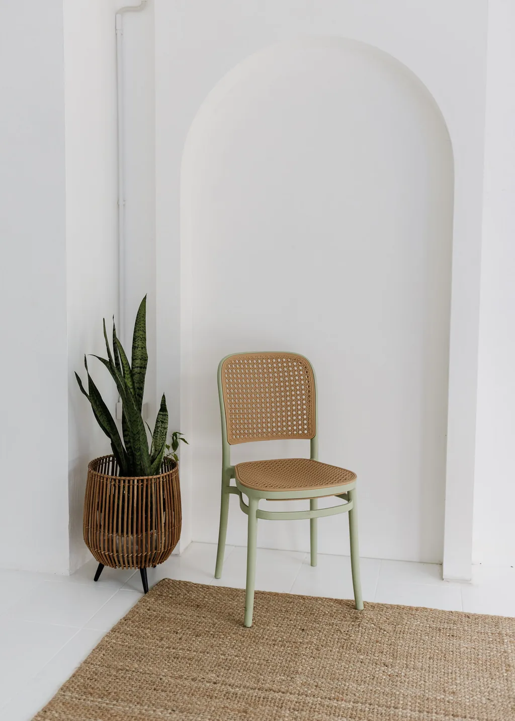 Cane chair and snake plant in front of the white arch wall set