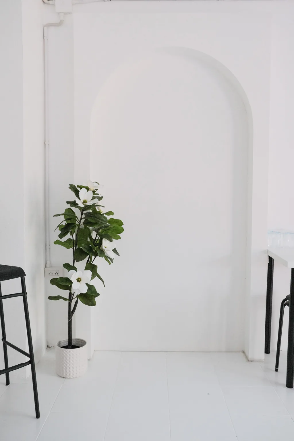 Fig plant and black stool beside the white arch wall