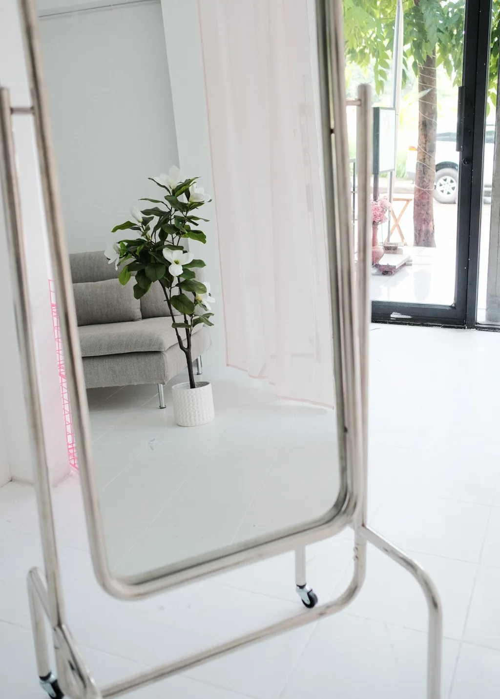 Standing floor mirror reflecting a fig plant