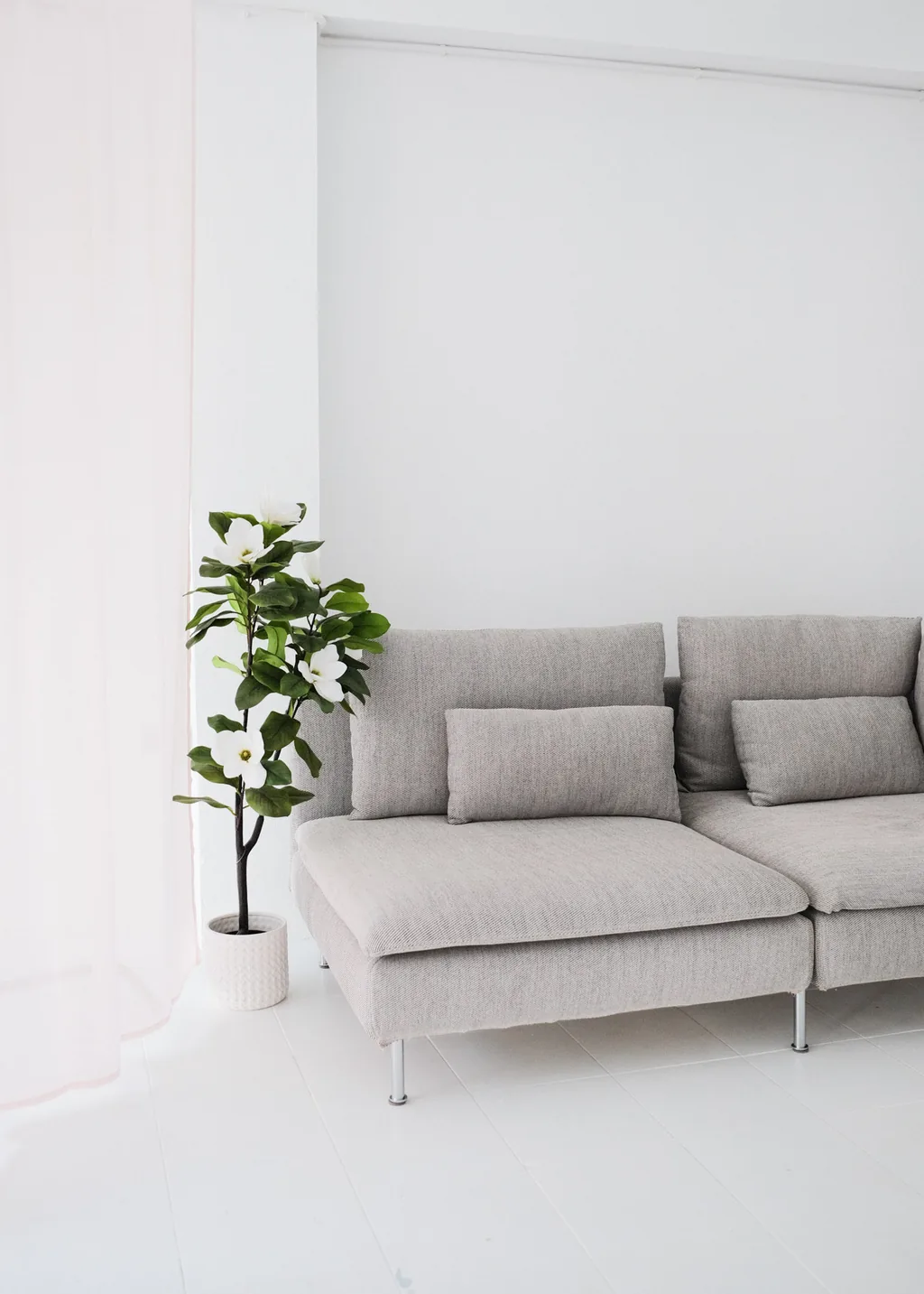 Grey sofa and fiddle-leaf fig against a white wall in soft daylight