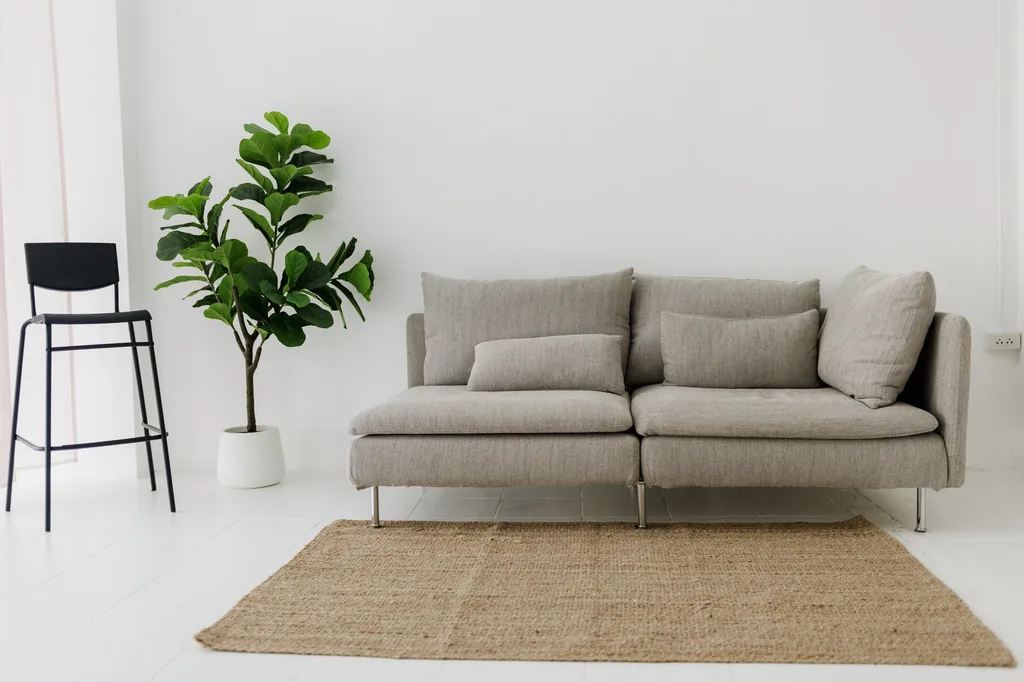 Grey sofa, fiddle-leaf fig and jute rug on the natural light floor