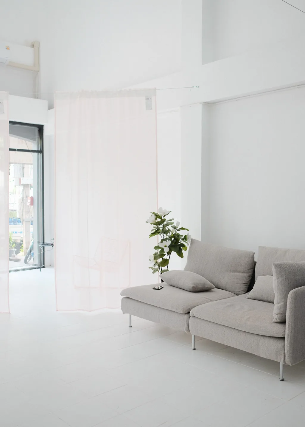 Grey sofa by the window with a fig plant
