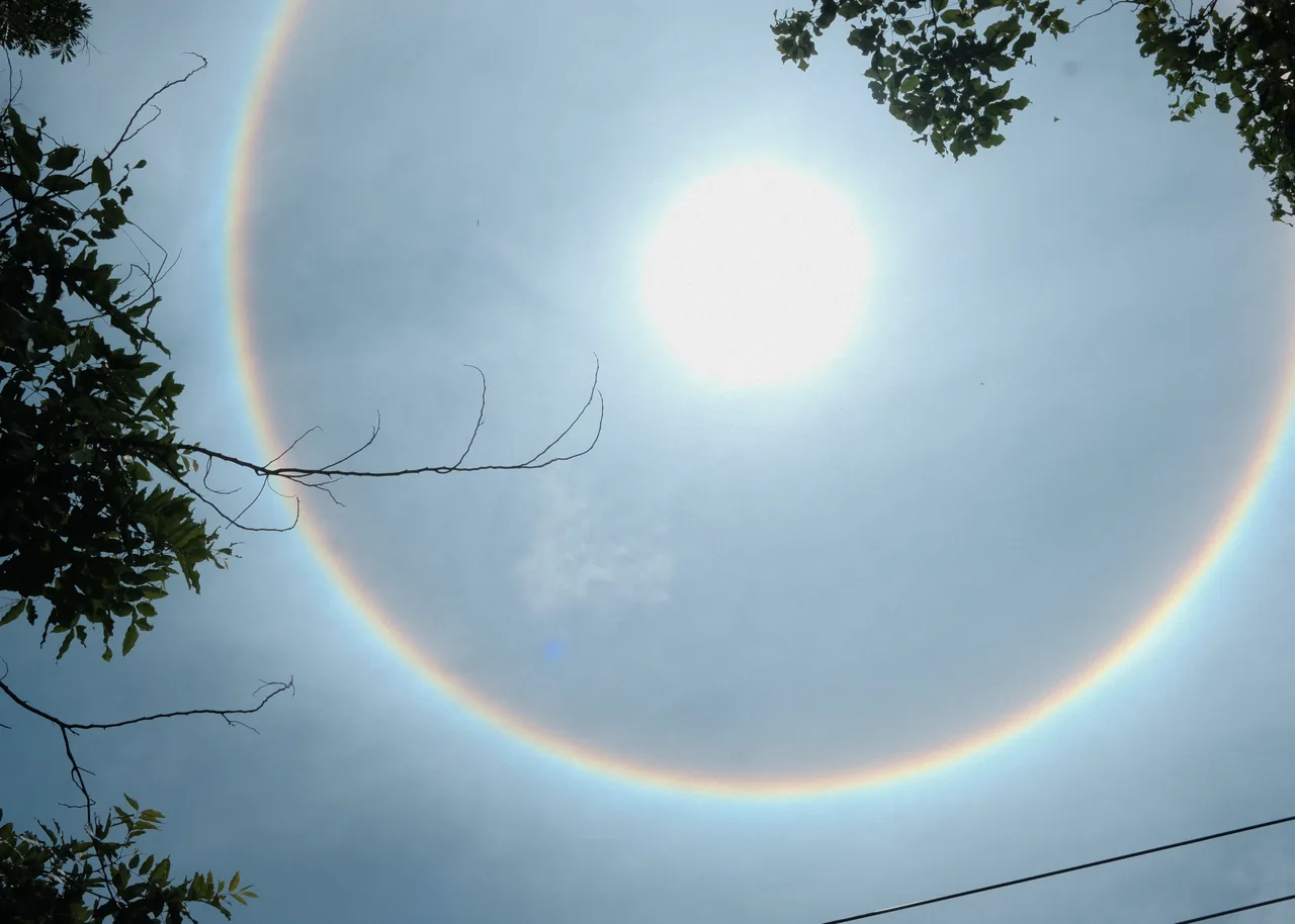 Rainbow halo around the sun over Chiang Mai, framed by tree branches