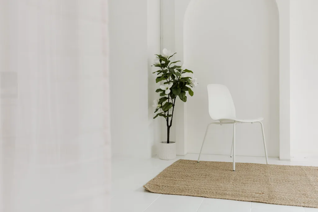 White chair, fig tree and jute rug under the arch wall