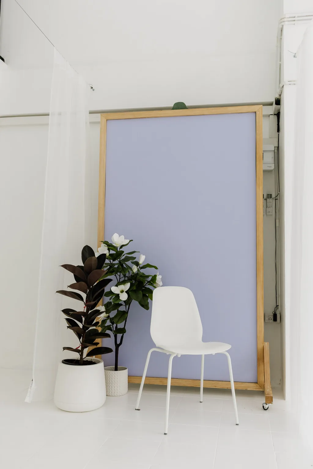 White chair and plant beside the lilac backdrop