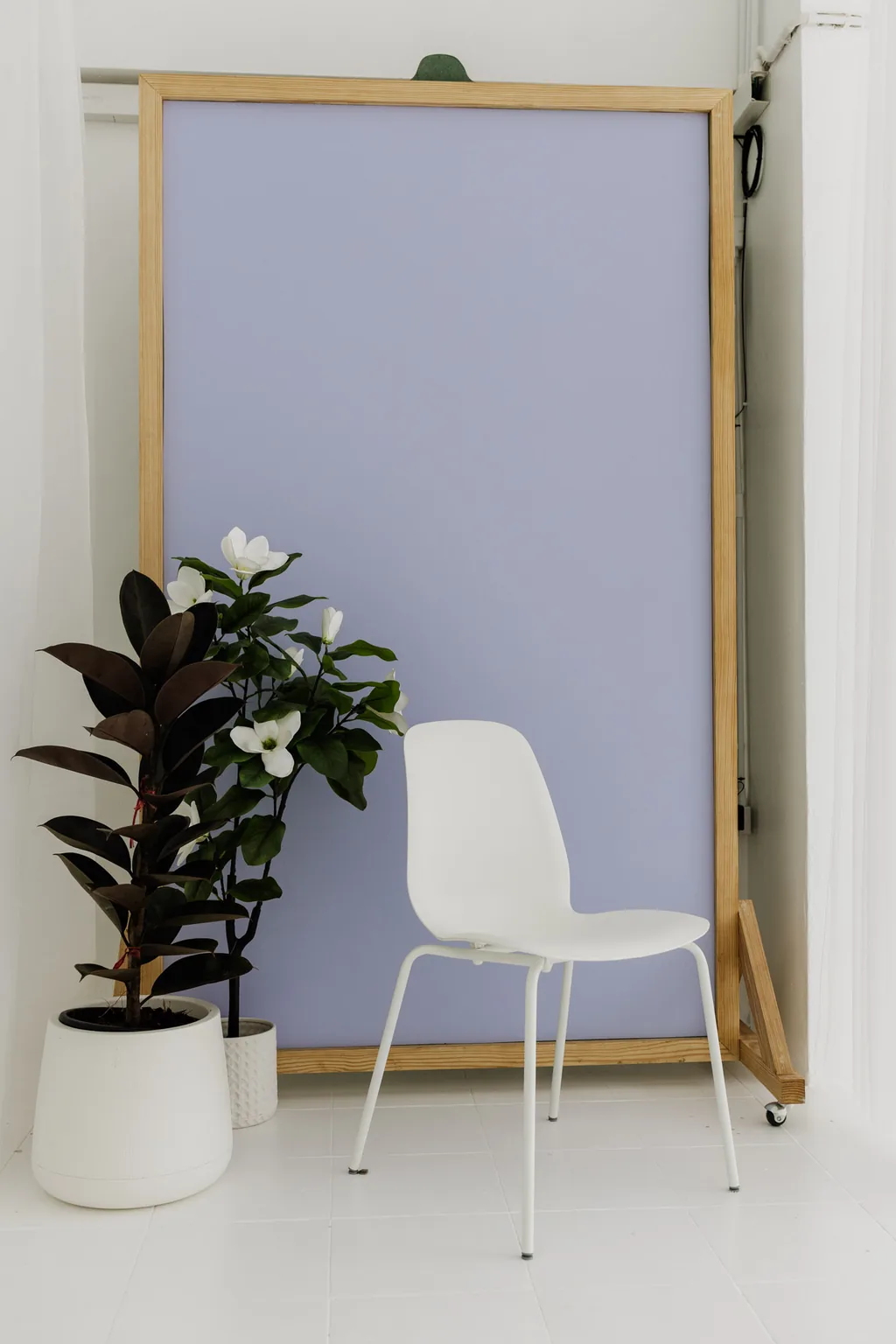 White chair set against the lilac backdrop, ready for a portrait session